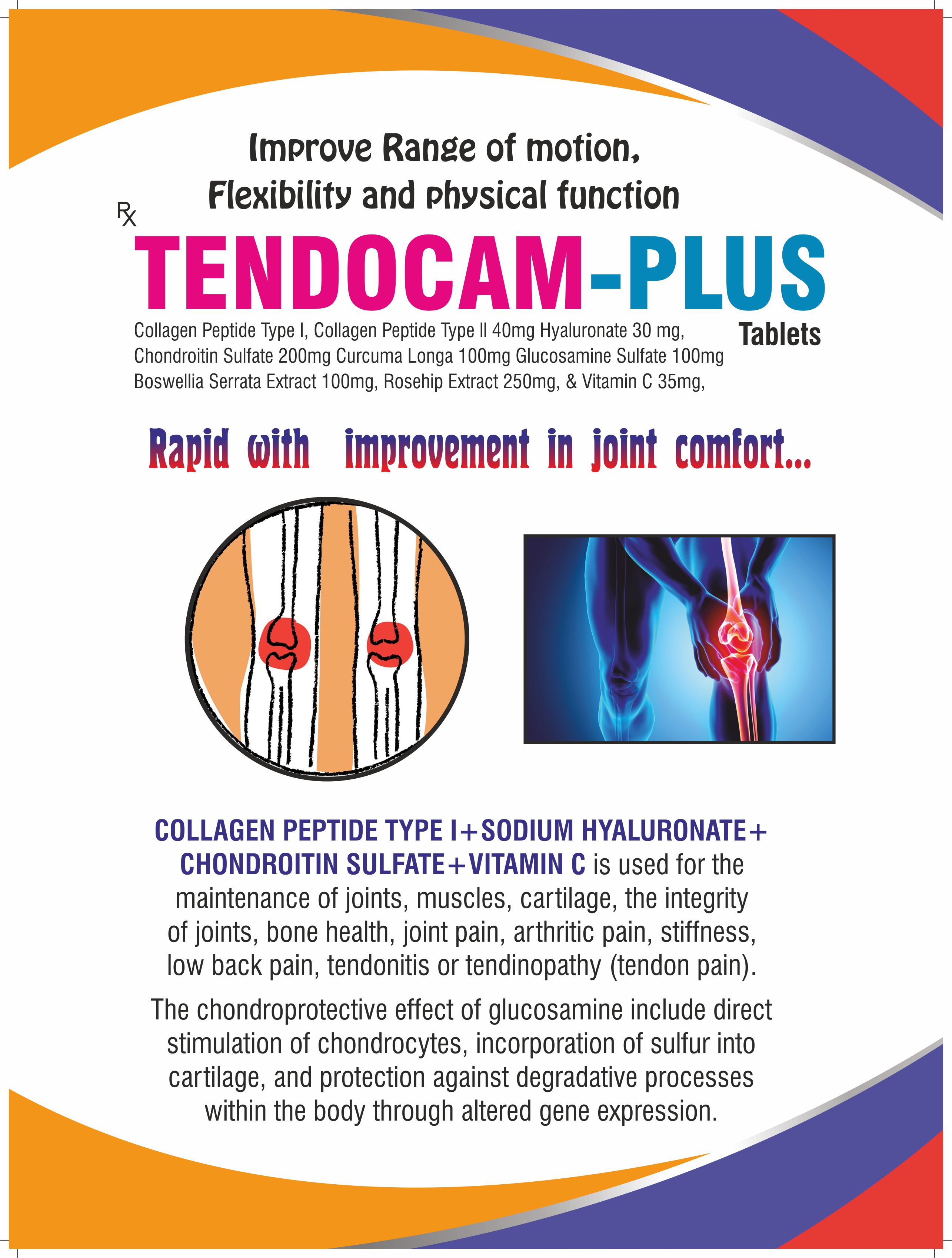 TENDOCAM-PLUS
