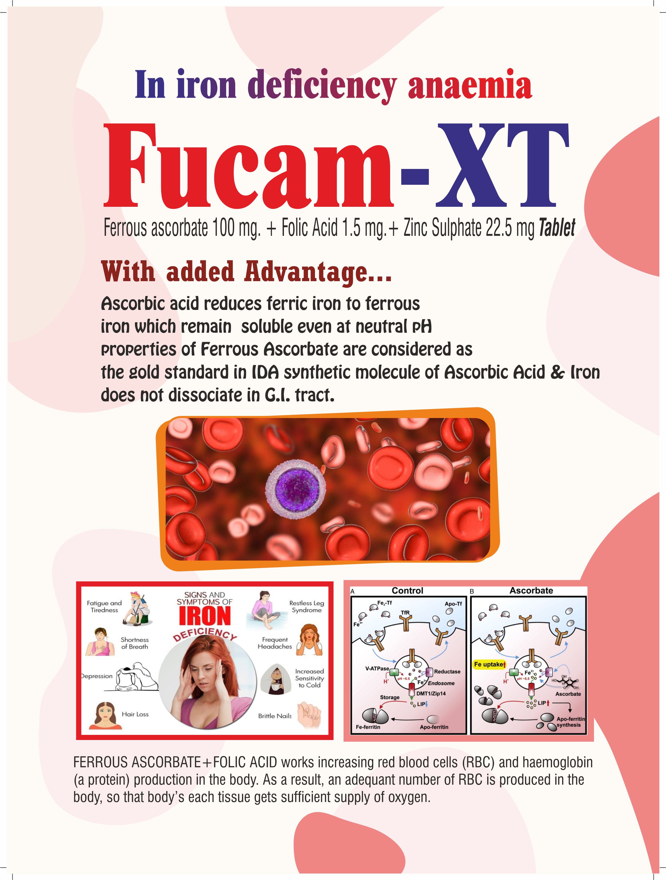 Fucam-XT